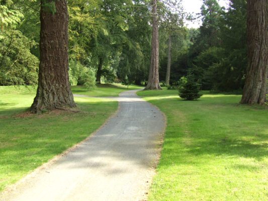 Image of Aden Country Park