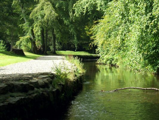 Image of Aden Country Park