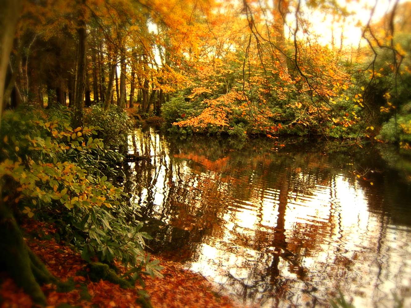 Image of Aden Country Park