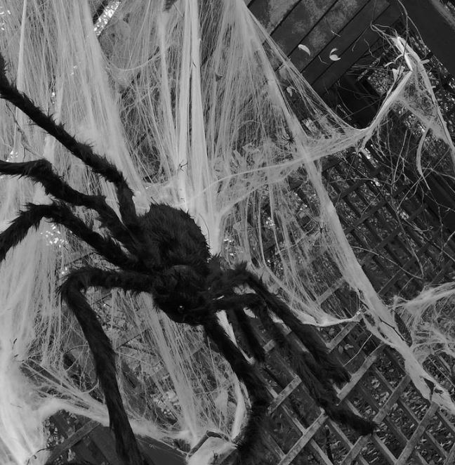 Big fake spider on cobweb