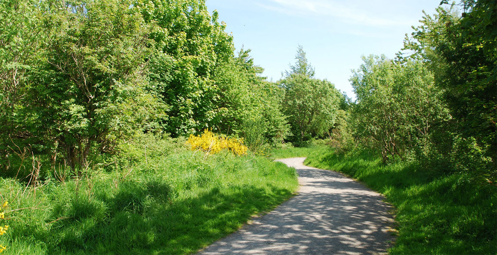 Aden Footpath