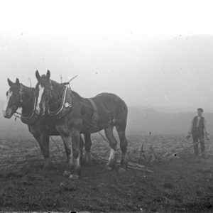 3 Ploughing The Way