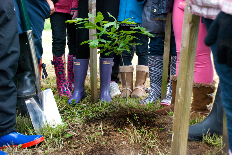 Aden-Hedge-Planting-Volunteer-Day