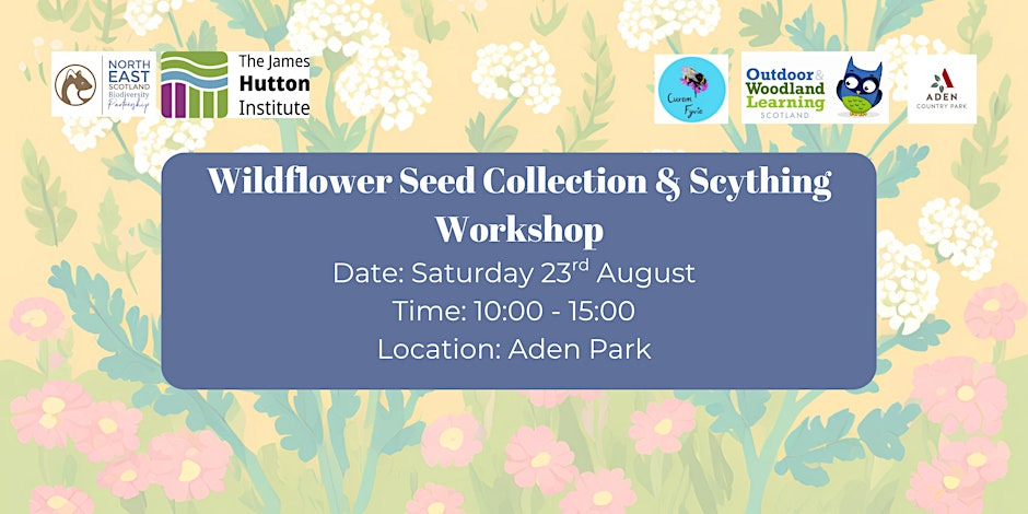 Wildflower-Seed-Collection-&-Scything-Workshop