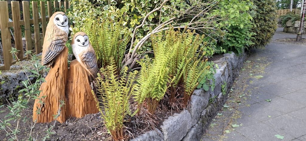 Aden Country Park Sensory and Carers Garden Project