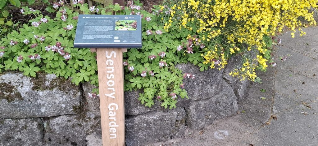 Aden Country Park Sensory and Carers Garden Project